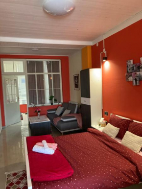 Studio apartman Red Panthers